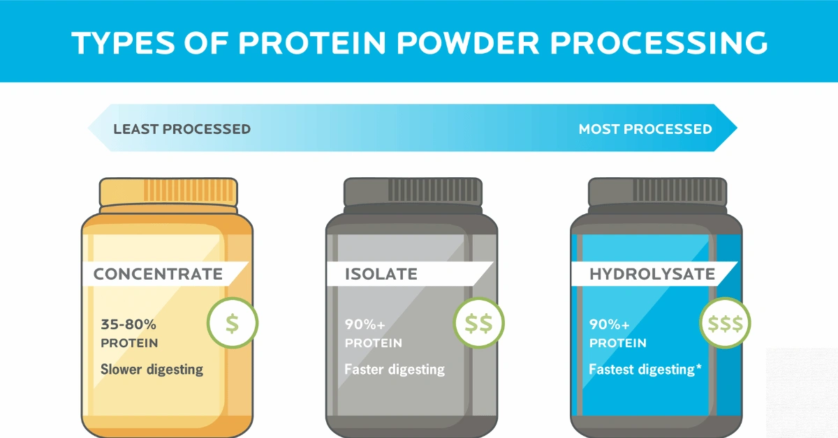 Chart showing three types of protein powder processing from least to most processed: Concentrate, Isolate, and Hydrolysate