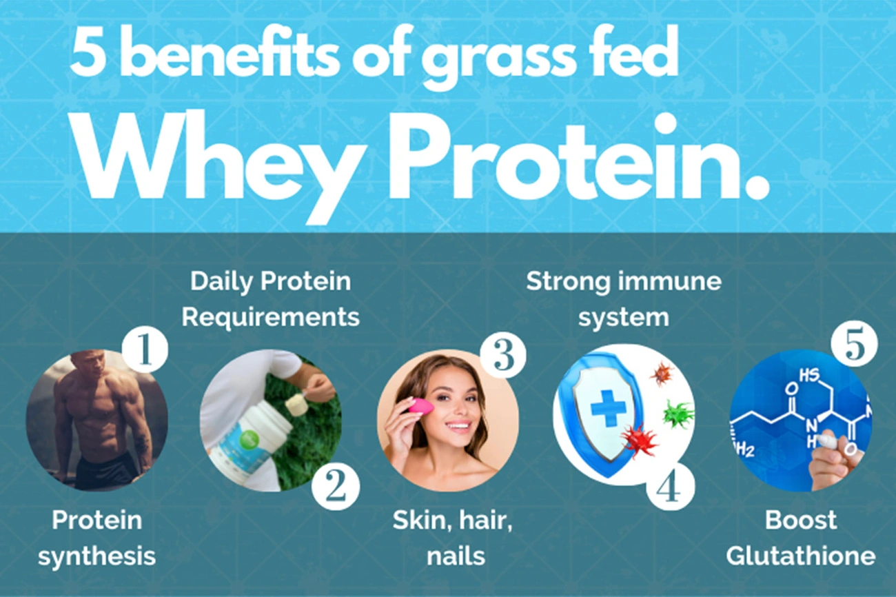 Infographic listing five benefits of grass-fed whey protein including protein synthesis, daily requirements, skin health, immunity, and glutathione boost.