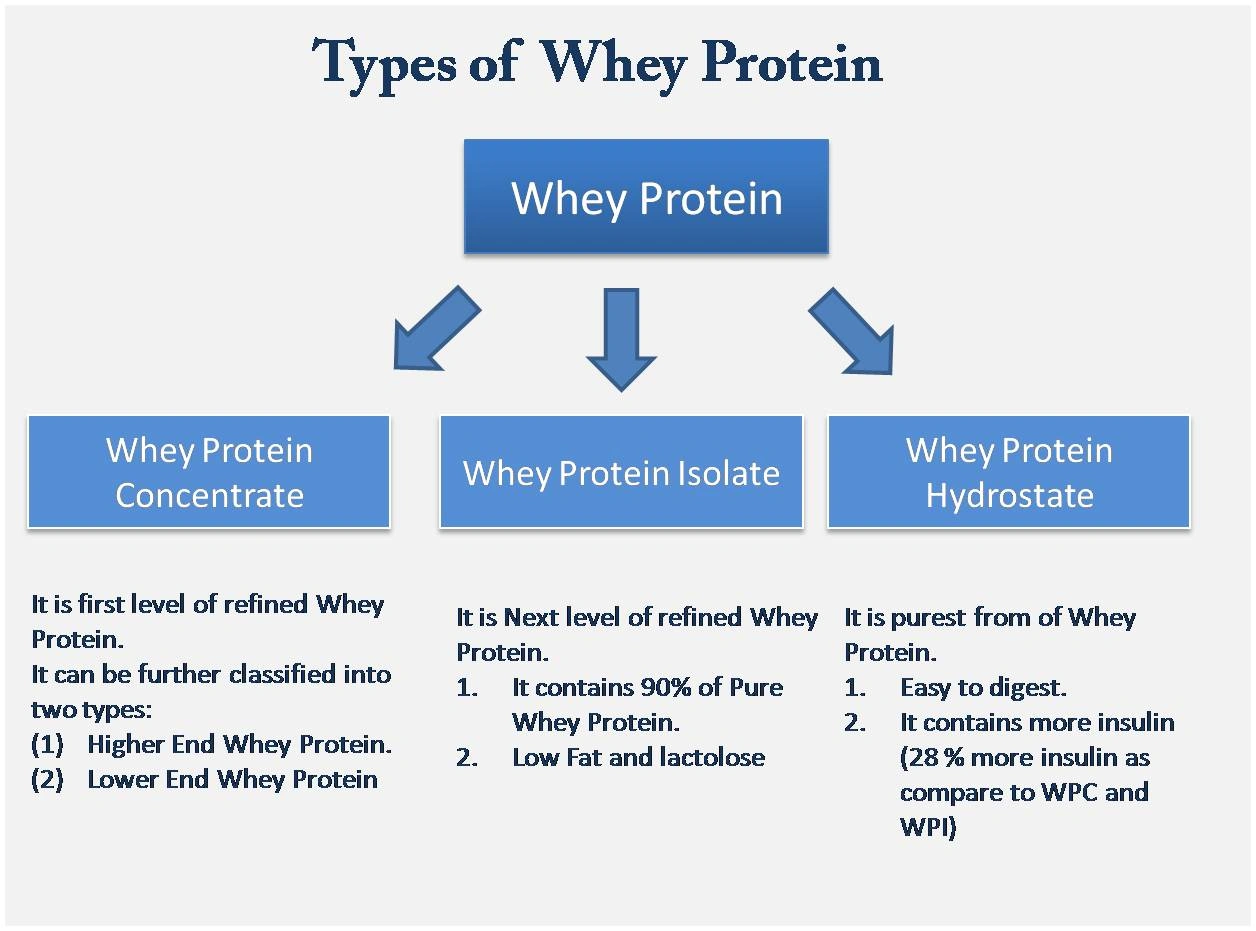 Diagram showing three types of whey protein: concentrate, isolate, and hydrostate with their key features and benefits.